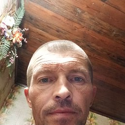 ���� �������, �����, 42 ���� - ��������� 3 ������� 2023