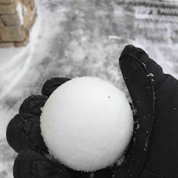 ������, ����, 37 ���