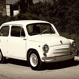 ������, �����-���������, 39 ���