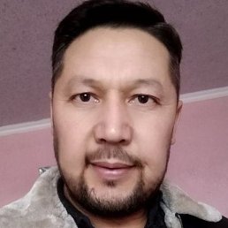 �����, �����, 40 ���