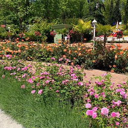 ���� �������