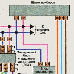 �������, ������, 43 ����