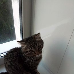 A'n'd're, ������, 38 ���