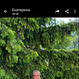 ���� �������, �����, 67 ��� - ��������� 5 ���� 2023