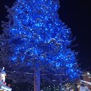���� ������, �����������, 34 ���� - ��������� 5 ������� 2023 � ������ ���� ����������