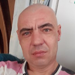 �����, �������, 41 ���