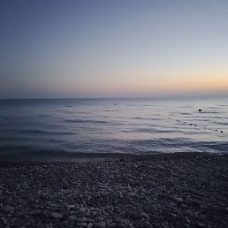 ��������, ���������, 36 ���