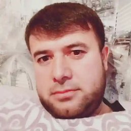 �����, �����-���������, 40 ���