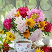 �����, 63 ����, ������