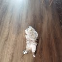 ���� �������, �����-���������, 58 ��� - ��������� 6 ���� 2023