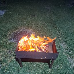 ���, ���������, 55 ���