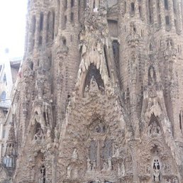 �����, ������