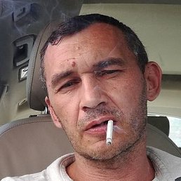 ���������, �����, 49 ���