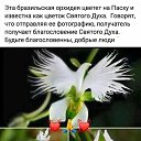 ���� ����, �������, 34 ���� - ��������� 29 ��� 2023 � ������ ���� ����������