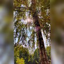 ���� ����, ��������� - ��������� 21 ������� 2023 � ������ ���� ����������