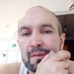 ����, ������, 51 ���