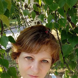 ���� ������, ���������, 55 ��� - ��������� 5 ������� 2023