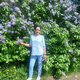 ���� �������� ��������, ������, 49 ��� - ��������� 29 ������� 2023