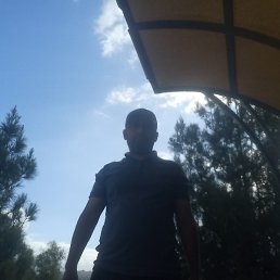 �����, �������, 37 ���