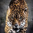 ���� ����, ���� - ��������� 21 ��� 2023 � ������ ������ ��������