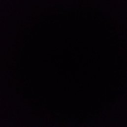 �����, ������, 43 ����