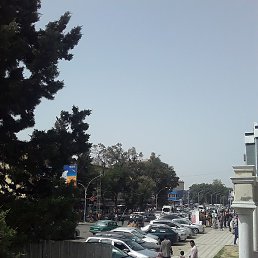 ����, �����-���������, 41 ���