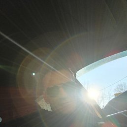 ����, ������, 50 ���