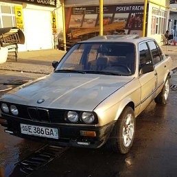 ���� ����, �������, 33 ���� - ��������� 11 �������� 2023