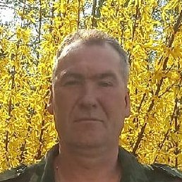 ����, ��������, 37 ���