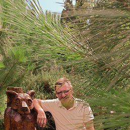 ��������, �������