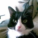 ���� �����, ��������, 77 ��� - ��������� 17 ������ 2023