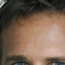 �����, �����-���������, 40 ���