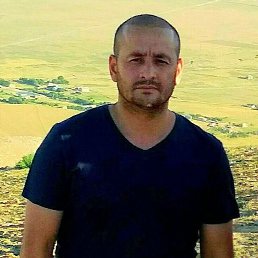 ���� ������, �����������, 43 ���� - ��������� 17 ������� 2023