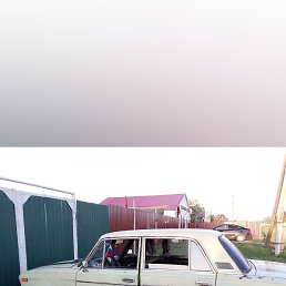 ������, ���������, 41 ���