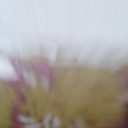 ���� ����, �������, 47 ��� - ��������� 4 �������� 2023