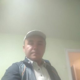 ����, �����-���������, 46 ���