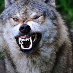 ������, ����-��, 47 ���