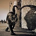 ���� ���������, ������, 40 ��� - ��������� 11 ��� 2023 � ������ ���� ����������