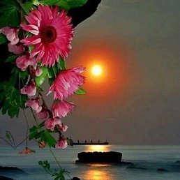 ����, ������, 52 ����