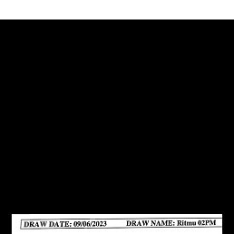 Badshah, �����, 25 ���