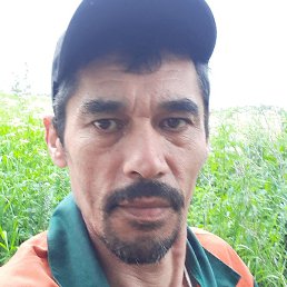 ����, ������, 52 ����