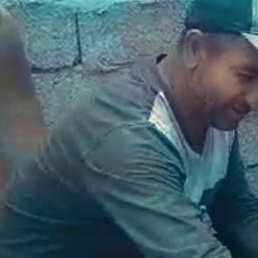 ������, ���������, 43 ����