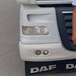 ������, ����, 54 ����