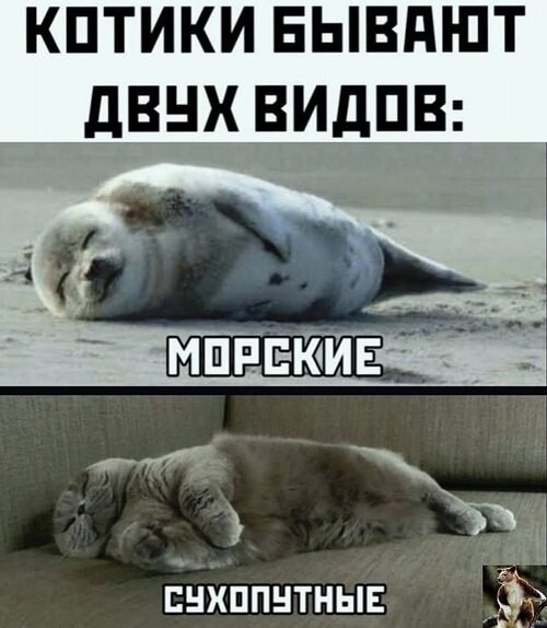  - 1  2023  14:32