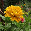 ���� �������, ����� - ��������� 18 ������� 2023 � ������ ���� ����������