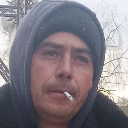 ������, �������, 37 ���