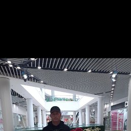 ���� �����, ��������, 43 ���� - ��������� 11 ���� 2023