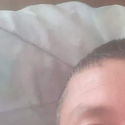 ������, �����������, 43 ����