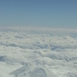 ������, ������, 35 ���