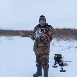 �����, ������, 62 ����